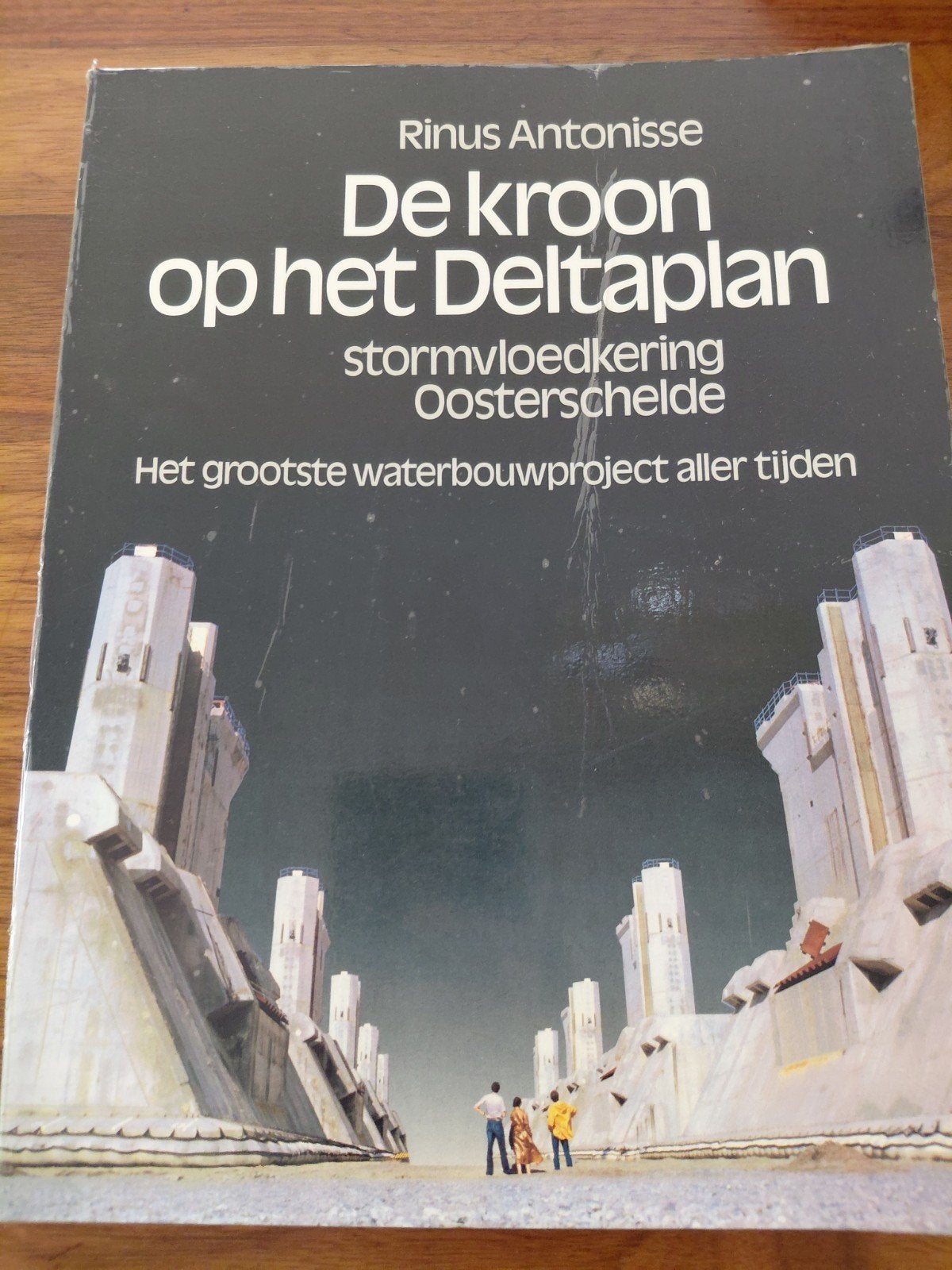 de kroon op het deltaplan, Ophalen of Verzenden, Gelezen