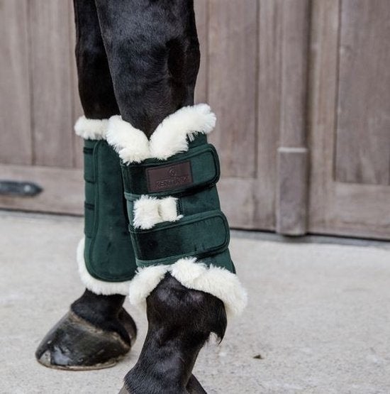 nieuwe Kentucky beschermers maat M, Dieren en Toebehoren, Beenbeschermers, Ophalen of Verzenden, Nieuw