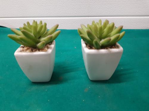 -	vetplantjes kunst in aardewerk potje, Ophalen of Verzenden, 'T Olde Gre-j, Info@toldegrej.nl, Endepoelstraat 20f Didam
