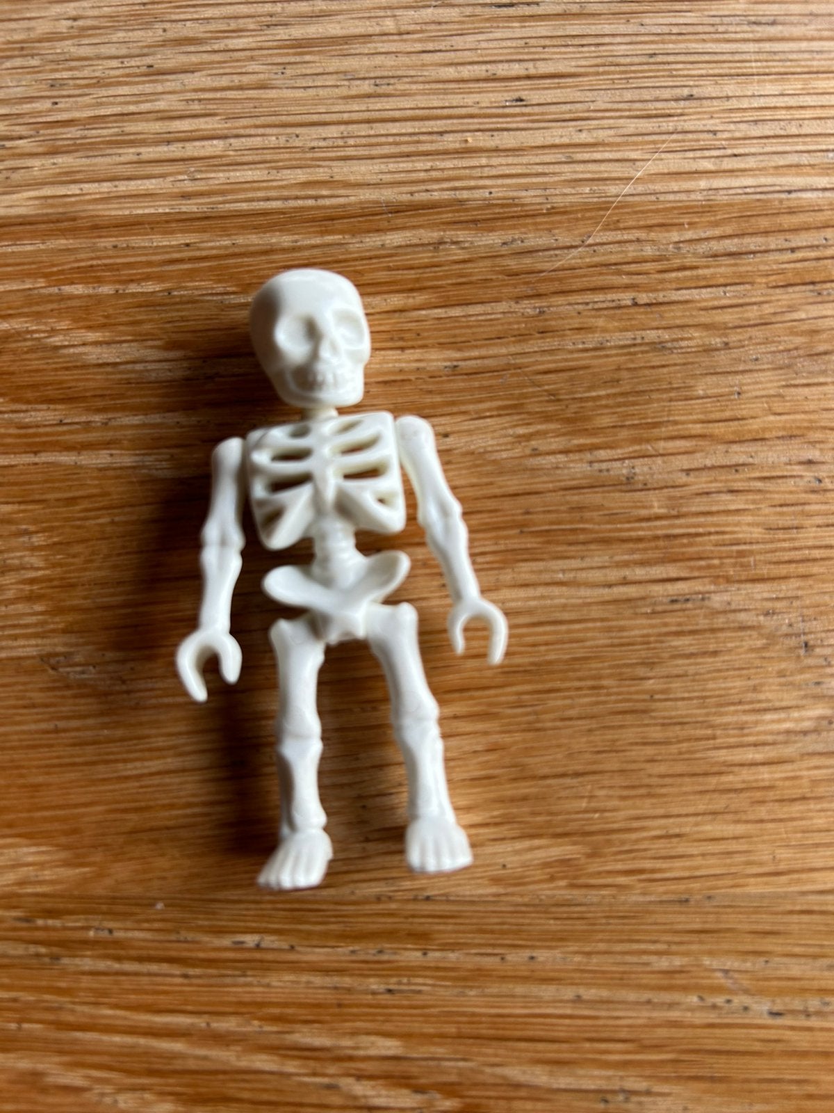 Playmobil skelet, Ophalen of Verzenden, Zo goed als nieuw