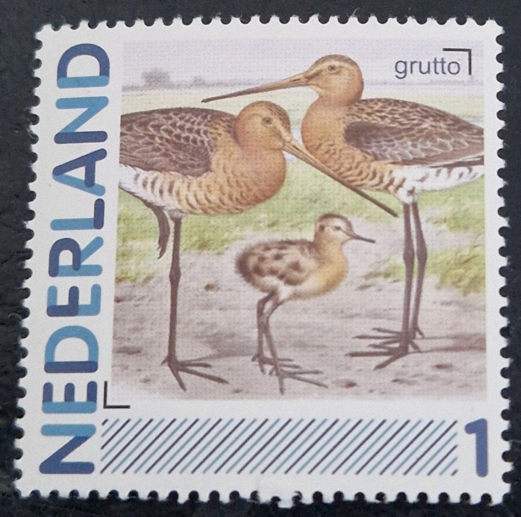 Nederland 2011 -  nvph  2791-Aa-22 - Vogels Grutto oa, Postzegels en Munten, Ophalen of Verzenden, Na 1940, Postfris