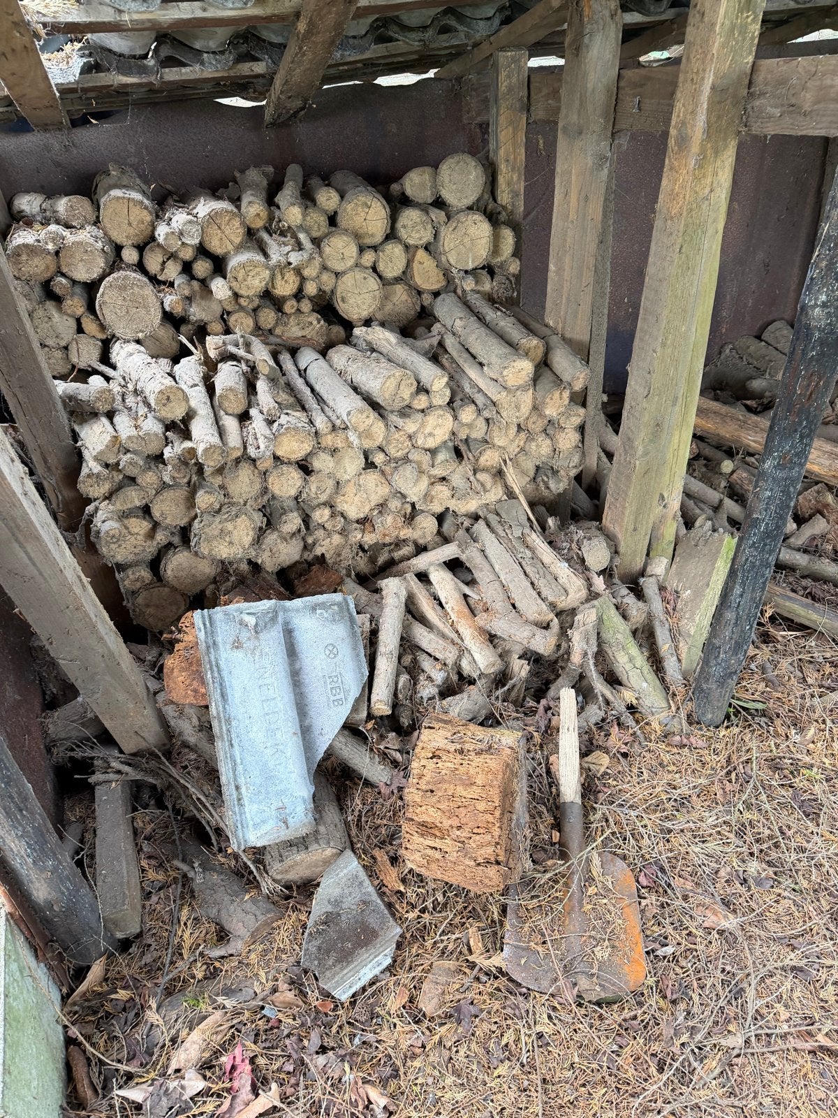 Gratis haardhout/tuinhout af te halen, Minder dan 3 m³, Ophalen of Verzenden, Overige houtsoorten, Blokken