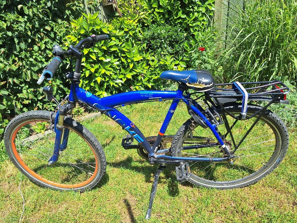 Batavus snake kinderfiets, 20 inch of meer, Gebruikt, Batavus, Ophalen of Verzenden