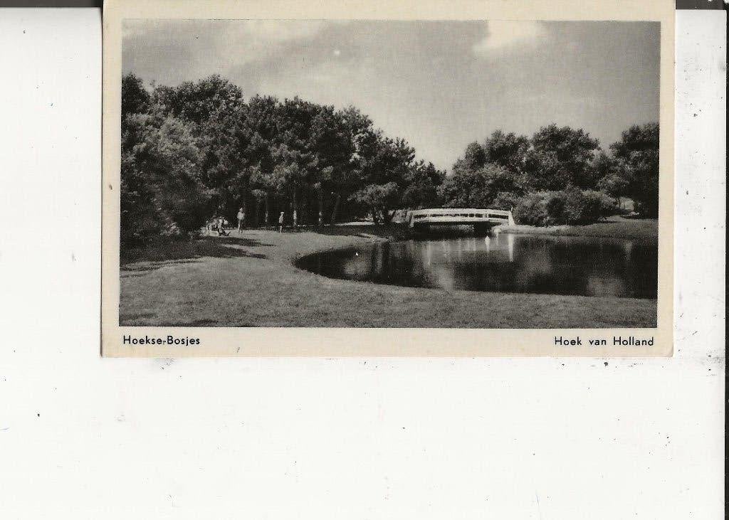 Hoek van Holland Hoekse Bosjes  1963, Ophalen of Verzenden, 1960 tot 1980, Gelopen, Zuid-Holland