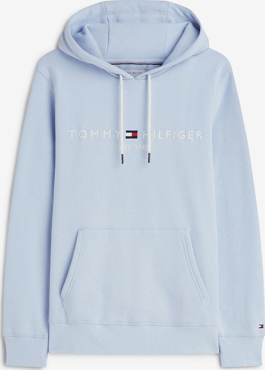 Tommy Hilfiger hoodie maat M, Kleding | Heren, Tommy Hilfiger, Ophalen of Verzenden, Gedragen, Maat 48/50 (M)