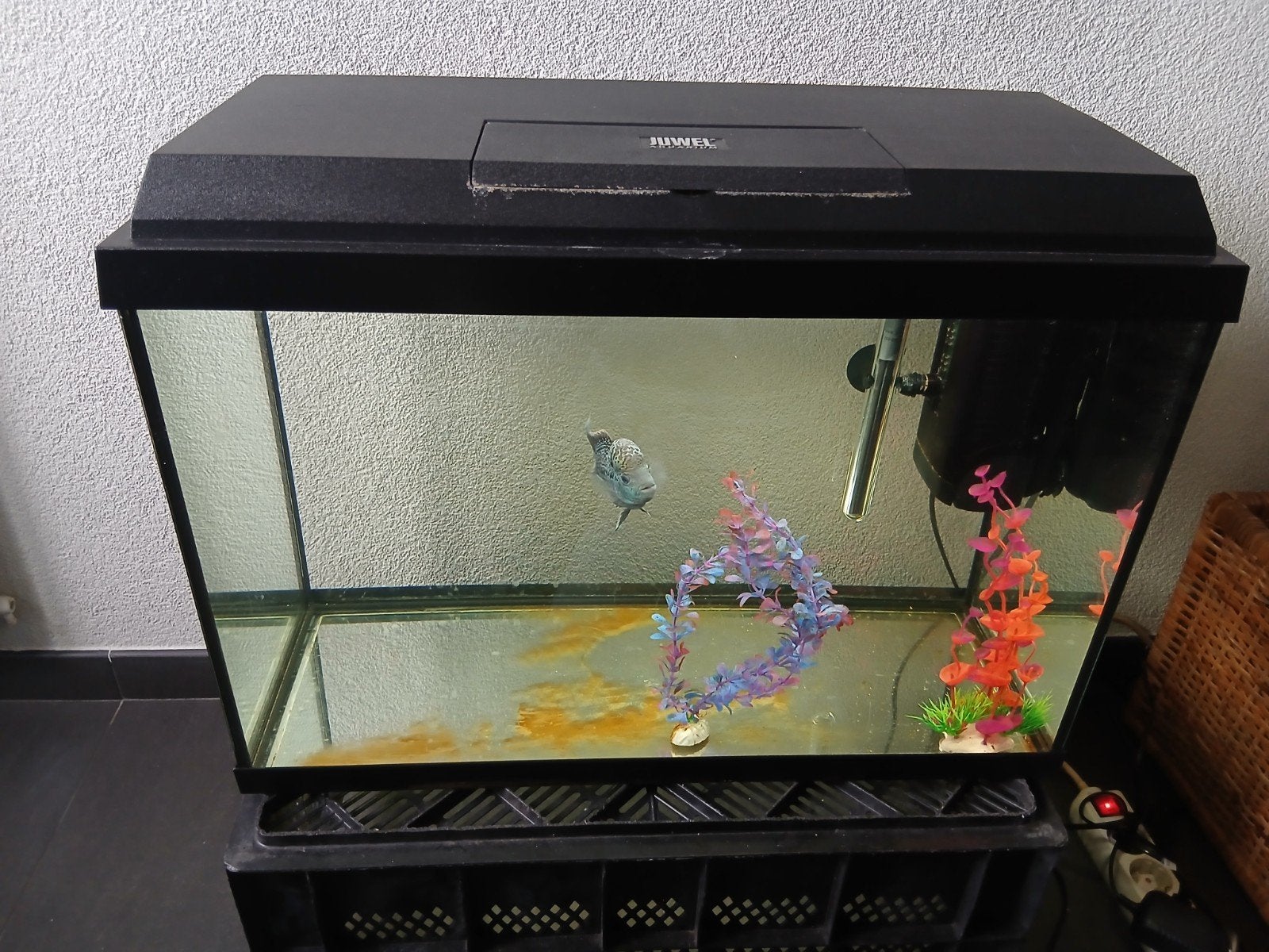 aquarium juwel  60x30x40 cm led verlichting, Dieren en Toebehoren, Vissen | Aquaria en Toebehoren, Ophalen of Verzenden, Leeg aquarium