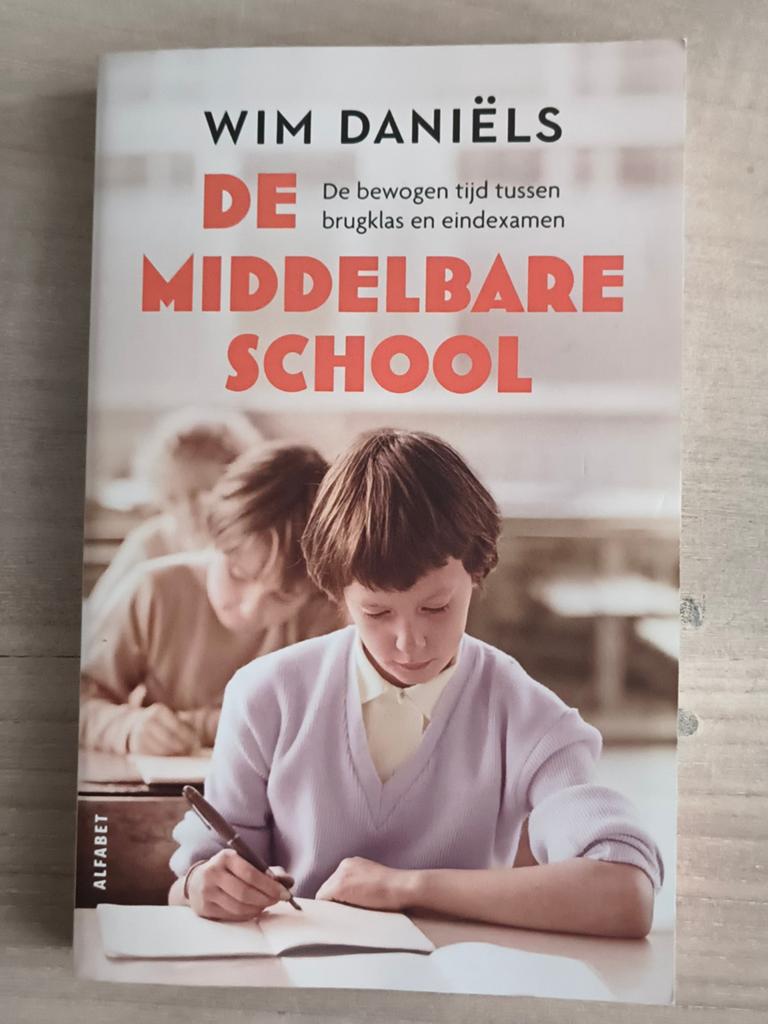 De Middelbare School - Wim Daniëls, Boeken, Gelezen, Overige vakken, Wim Daniëls, Ophalen of Verzenden