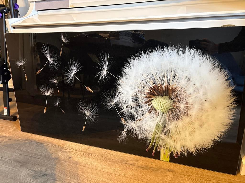 Schilderij van glas paardenbloem, Ophalen, 50 tot 75 cm, 125 cm of meer, Zo goed als nieuw