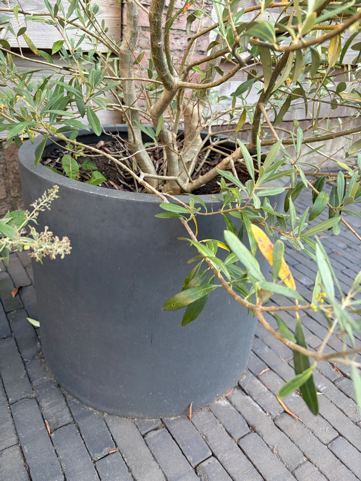 Grote ronde plantenbak, doorsnede 57cm, hoogte 53cm, Gebruikt, Balkon, Rond, Ophalen of Verzenden