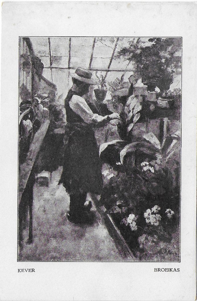 Kever Broeikas Ongelopen Ansichtkaart (B5781 ), Ophalen of Verzenden, 1940 tot 1960, Ongelopen