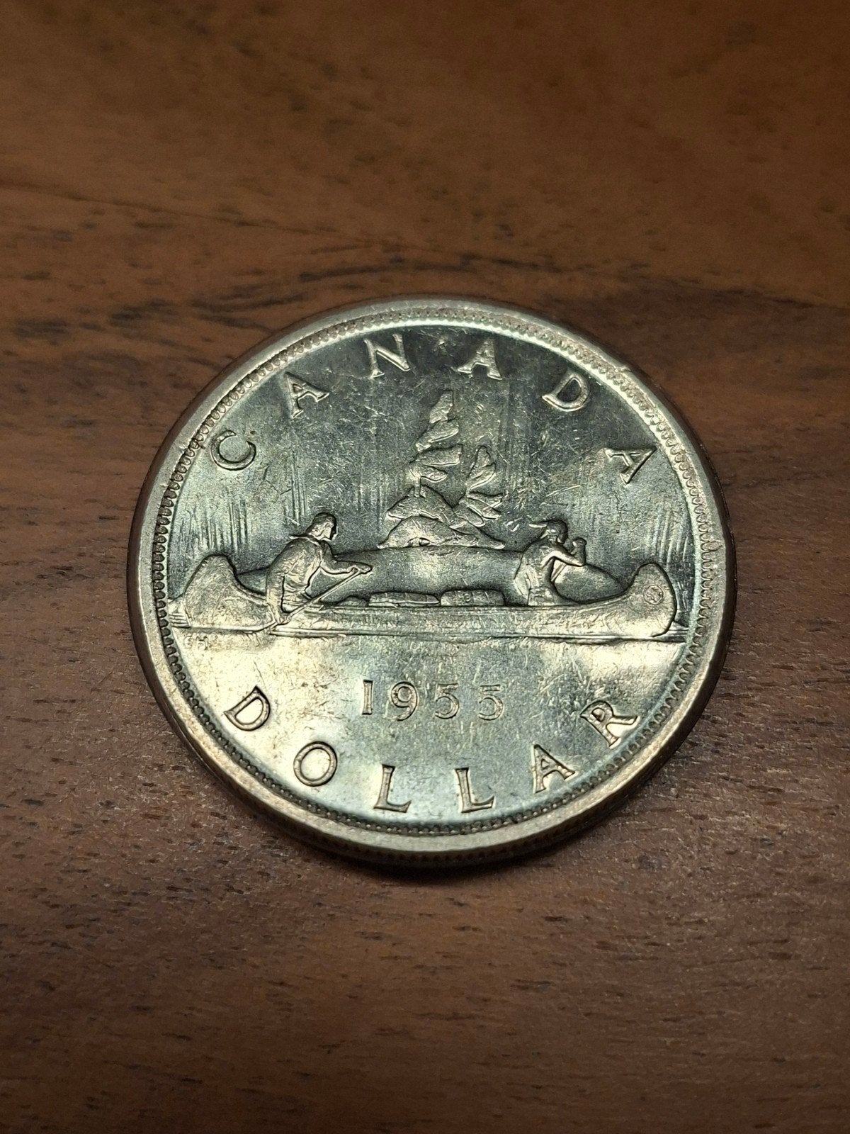 Canadese 1 Dollar munt 1955 in beschermhoesje, Ophalen of Verzenden, Noord-Amerika, Losse munt