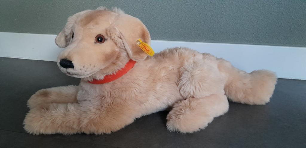Unieke Steiff Golden Retriever knuffel - Zo goed als nieuw, Kinderen en Baby's, Speelgoed | Knuffels en Pluche, Overige karakters