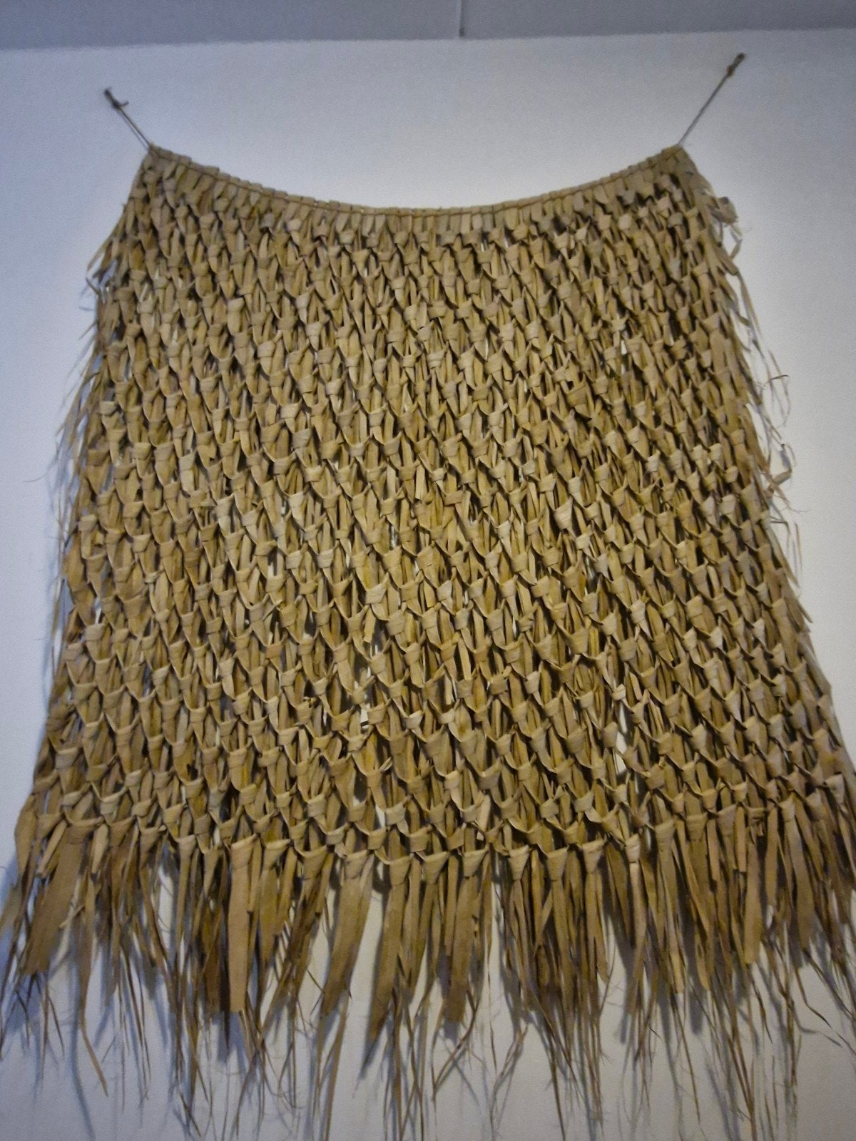 wandkleed palmblad, Ophalen