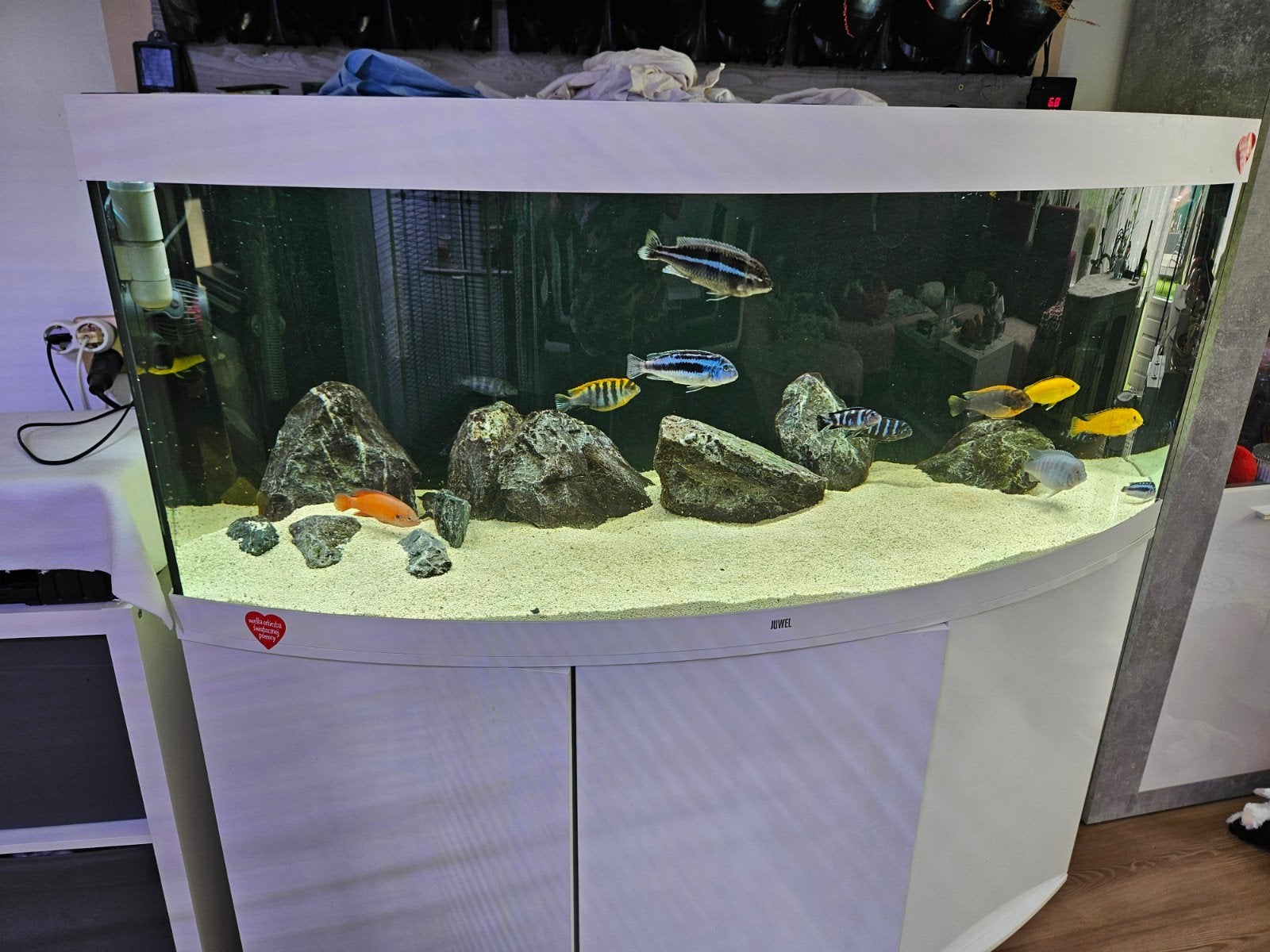 Juwel Vision 450 Malawi – complete set + gratis 60-liter, Ophalen, Leeg aquarium