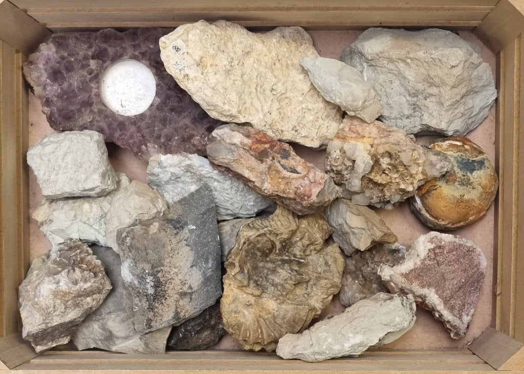 1398. Fossielen, mineralen en geoden - prehistorie, Ophalen