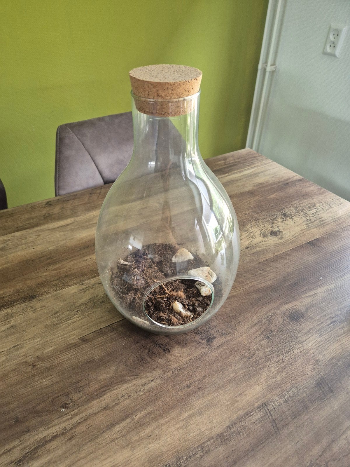 Glazen terrarium met kurken stop, Ophalen, Gebruikt, Transparant, Glas