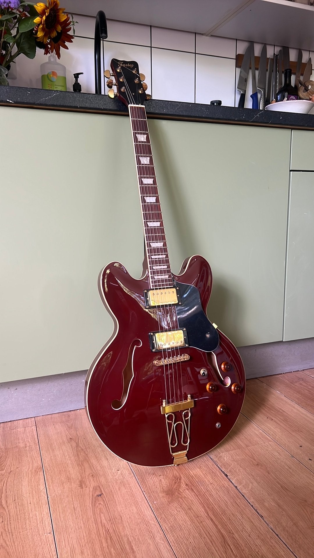 Fazley FES318DR Semi-Akoestische Elektrische Gitaar + Ibanez, Ophalen, Zo goed als nieuw, Hollow body, Ibanez