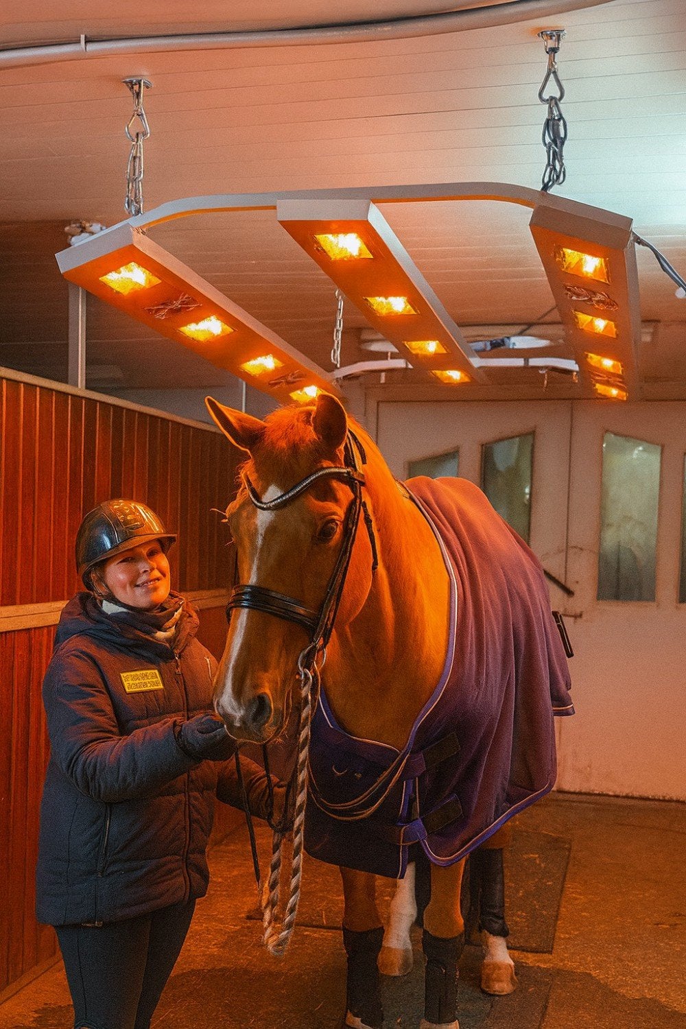Paarden Solarium S12 infrarood, Ophalen of Verzenden, Nieuw