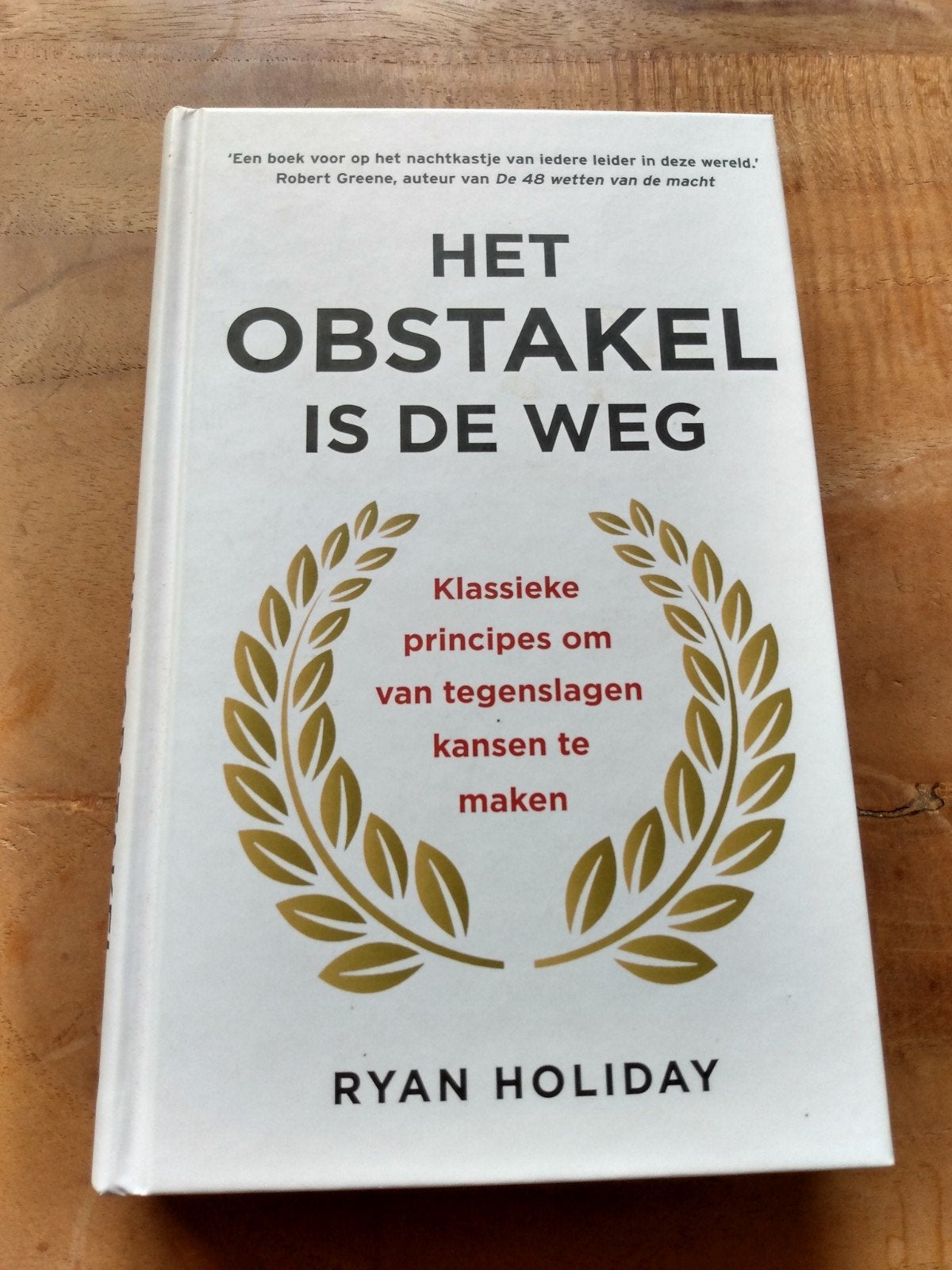 Ryan Holiday - Het obstakel is de weg, Ophalen of Verzenden, Zo goed als nieuw, Ryan Holiday