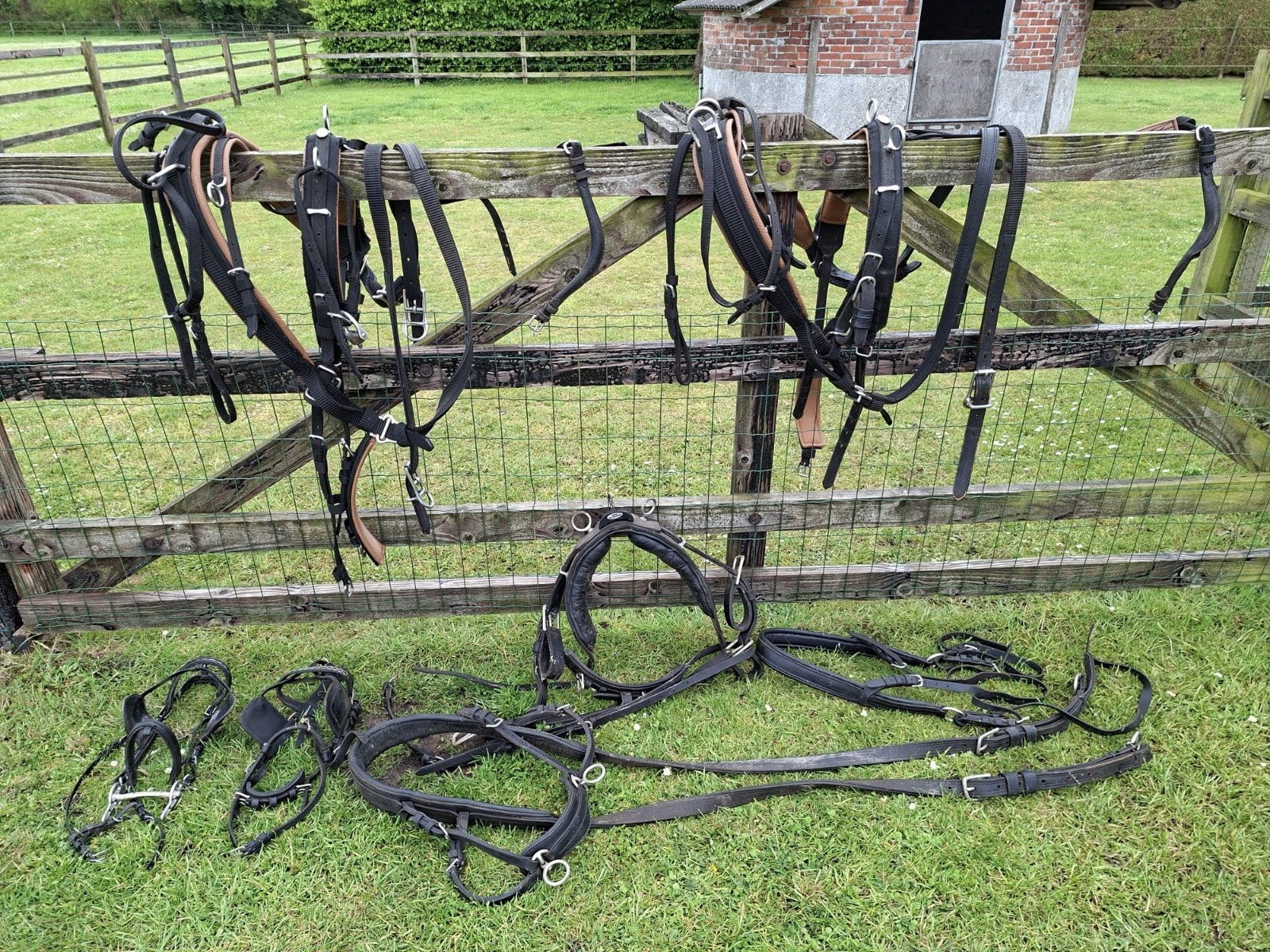 Pony Menwagen Excellent, enkel en tweespan.
