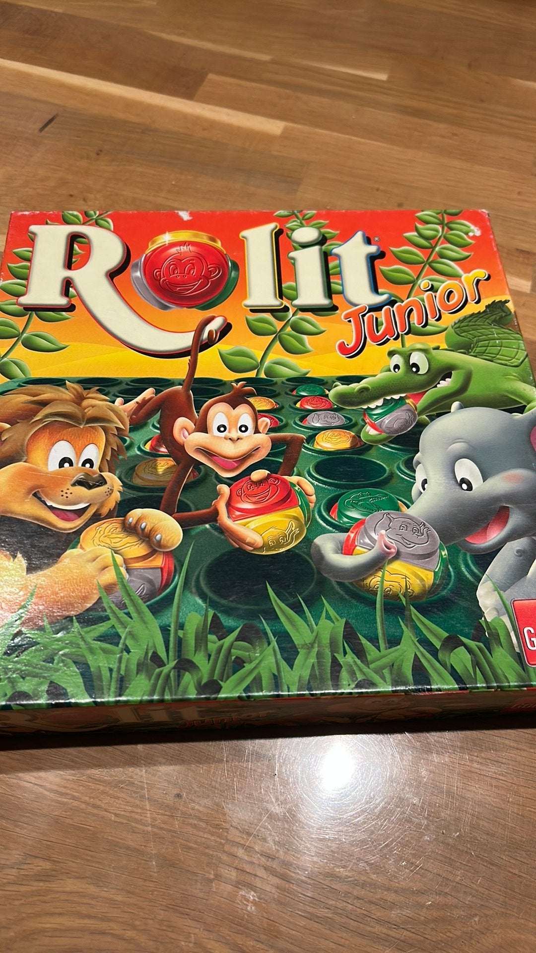 Rolit junior, Een of twee spelers, Ophalen of Verzenden, Zo goed als nieuw