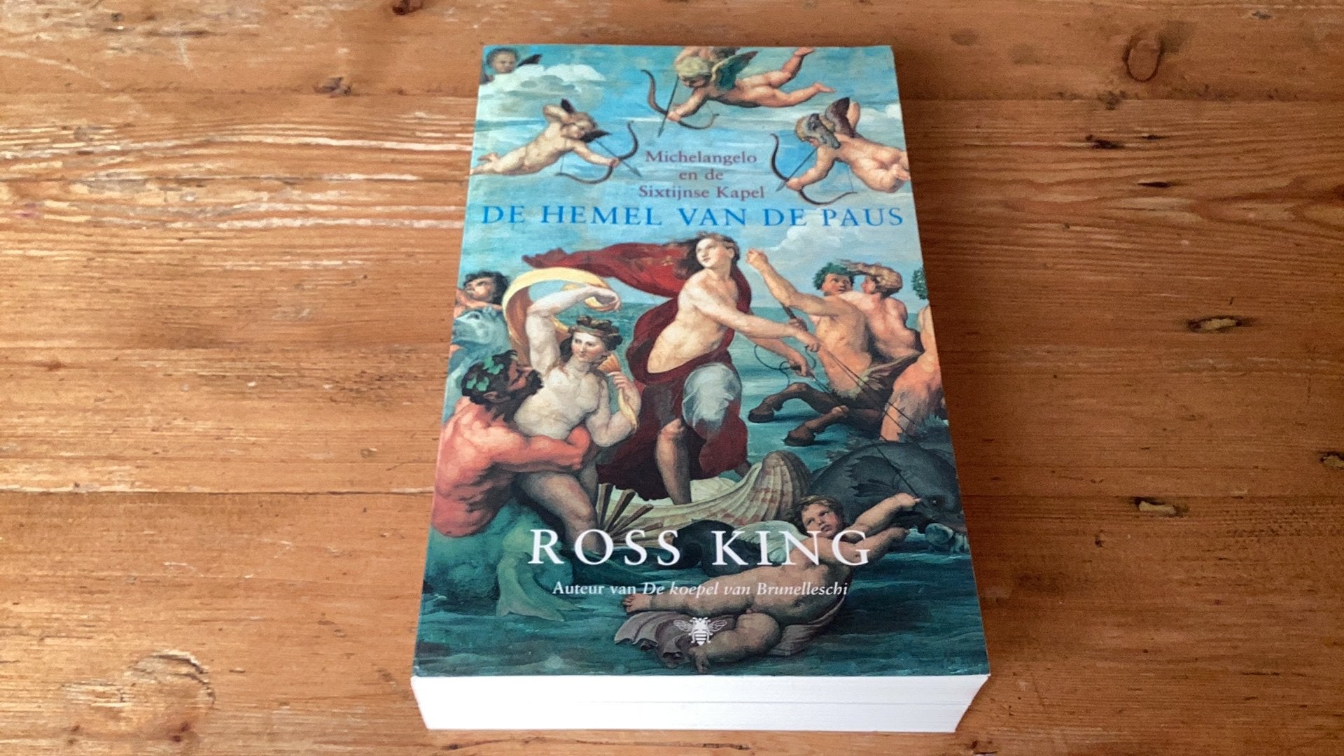 DE HEMEL VAN DE PAUS - Ross King (als nieuwe paperback)., Boeken, Fotografen, R. King, Ophalen of Verzenden, Zo goed als nieuw
