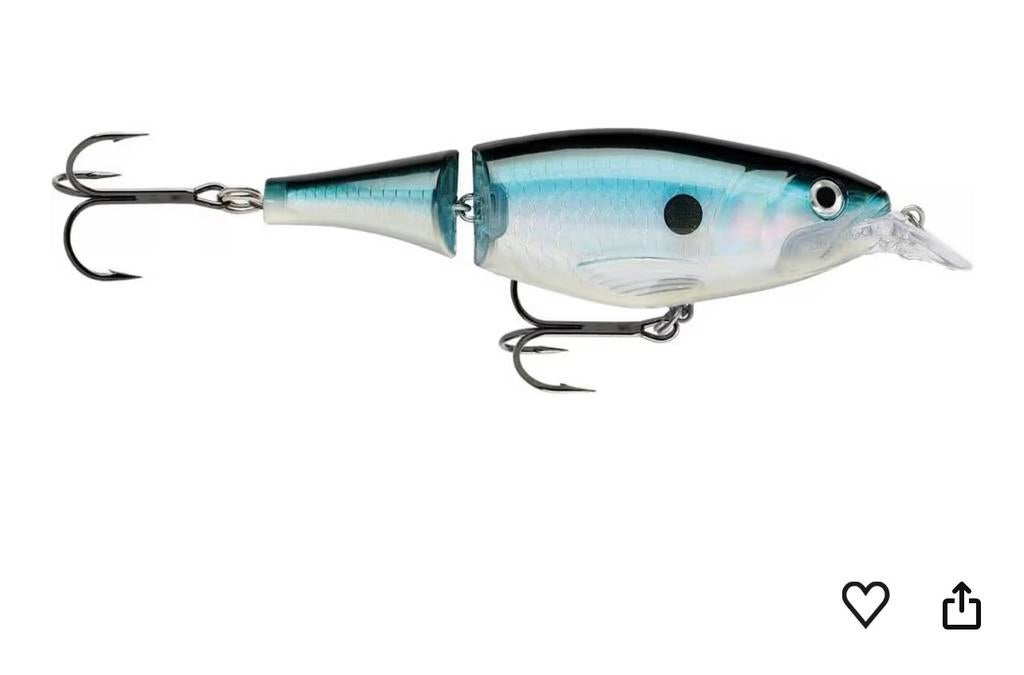 Gezocht: Rapala X-Rap Shad in de kleur Blue Shad, Ophalen of Verzenden, Zo goed als nieuw