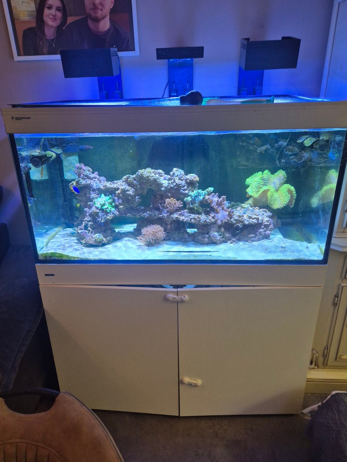 zeeaquarium kompleet., Dieren en Toebehoren, Ophalen, Zo goed als nieuw, Gevuld zeewateraquarium