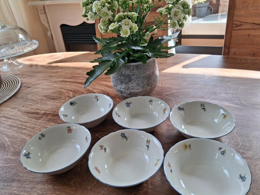 6 Seltmann Weiden schaaltjes  12.50 euro, Ophalen of Verzenden