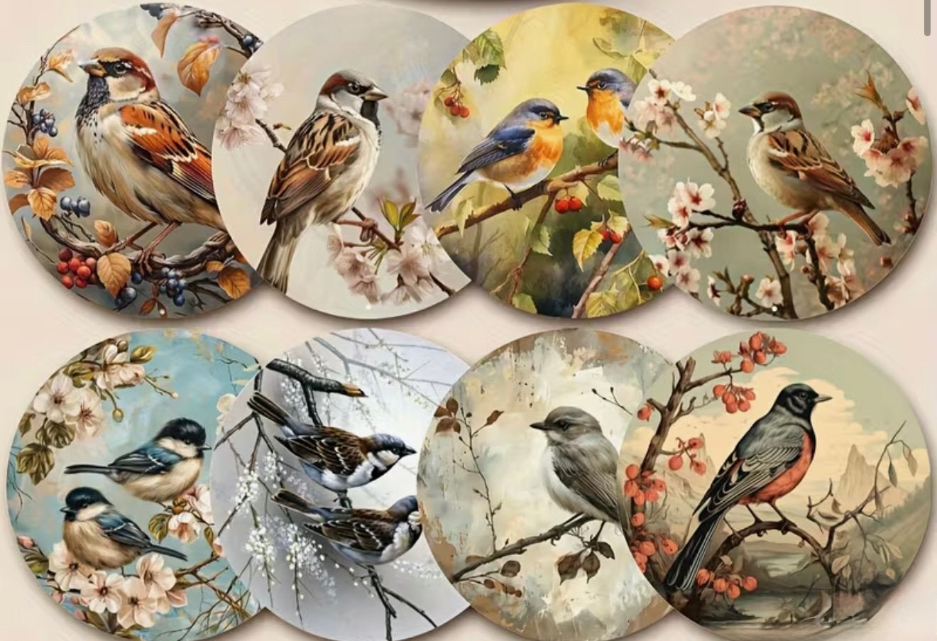 Houten vogel onderzetters, Ophalen