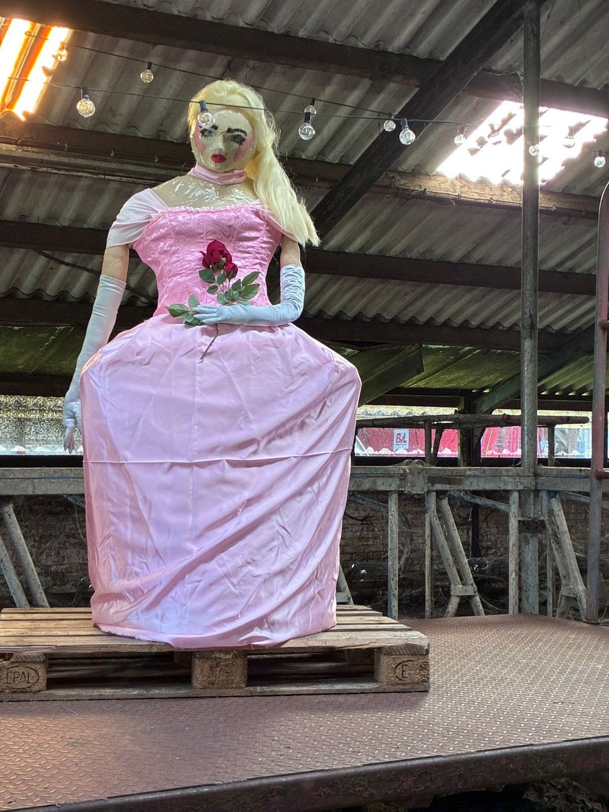 Belle en het Beest decoratie set, Ophalen