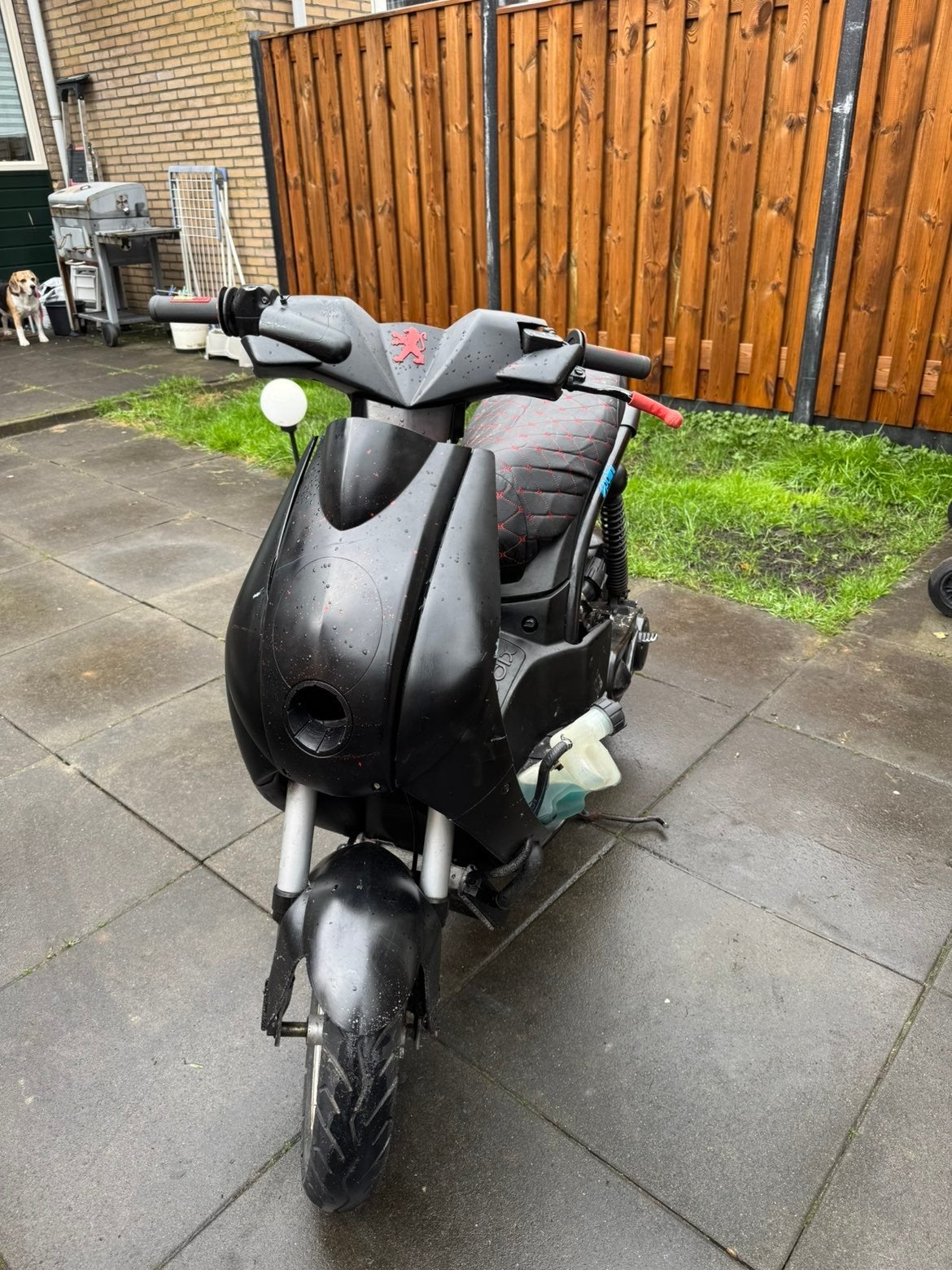 Peugeot Ludix 70cc lc met jetforce blok, Ophalen of Verzenden, Tweetakt, 70 cc, Ludix