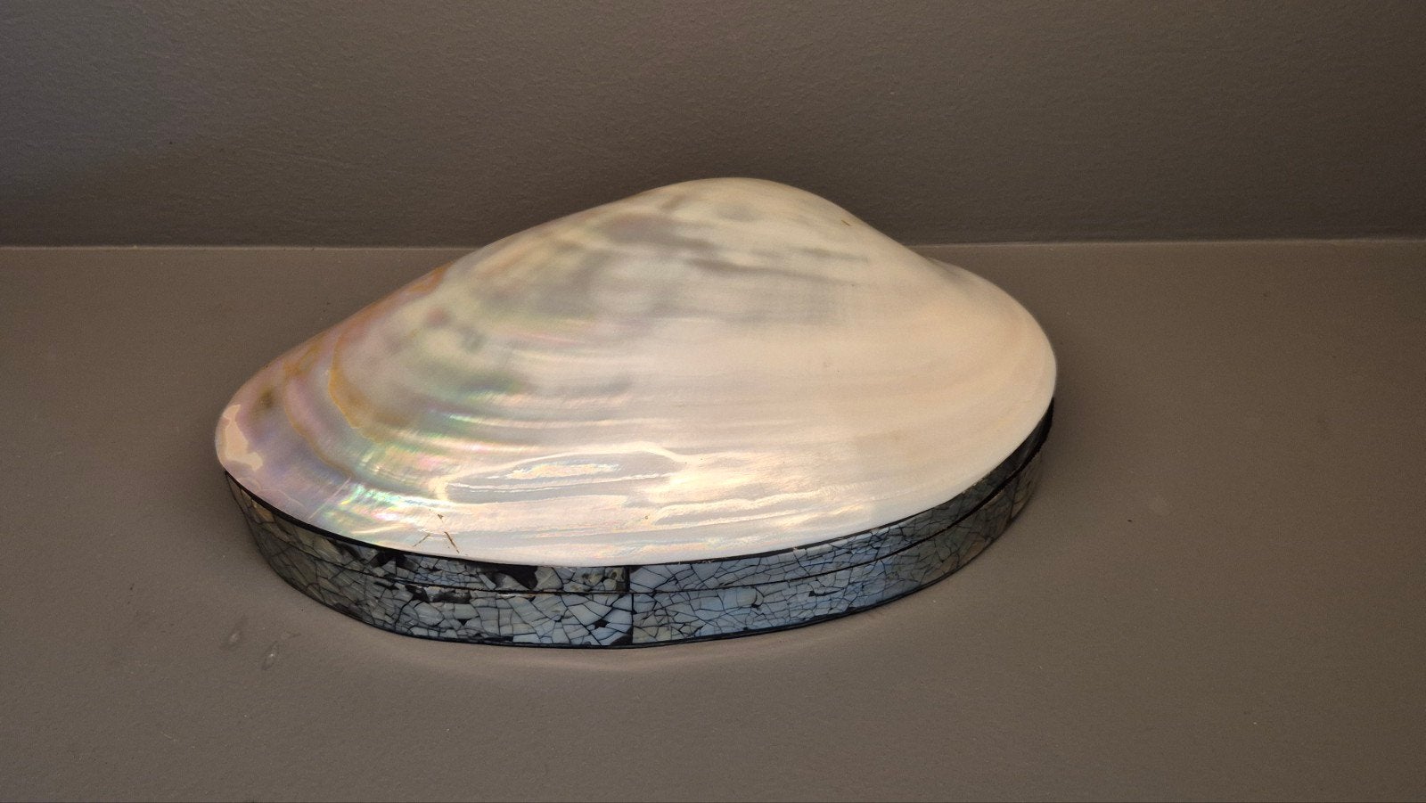 Prachtige parelmoer schelp doos - 25 cm, Ophalen of Verzenden