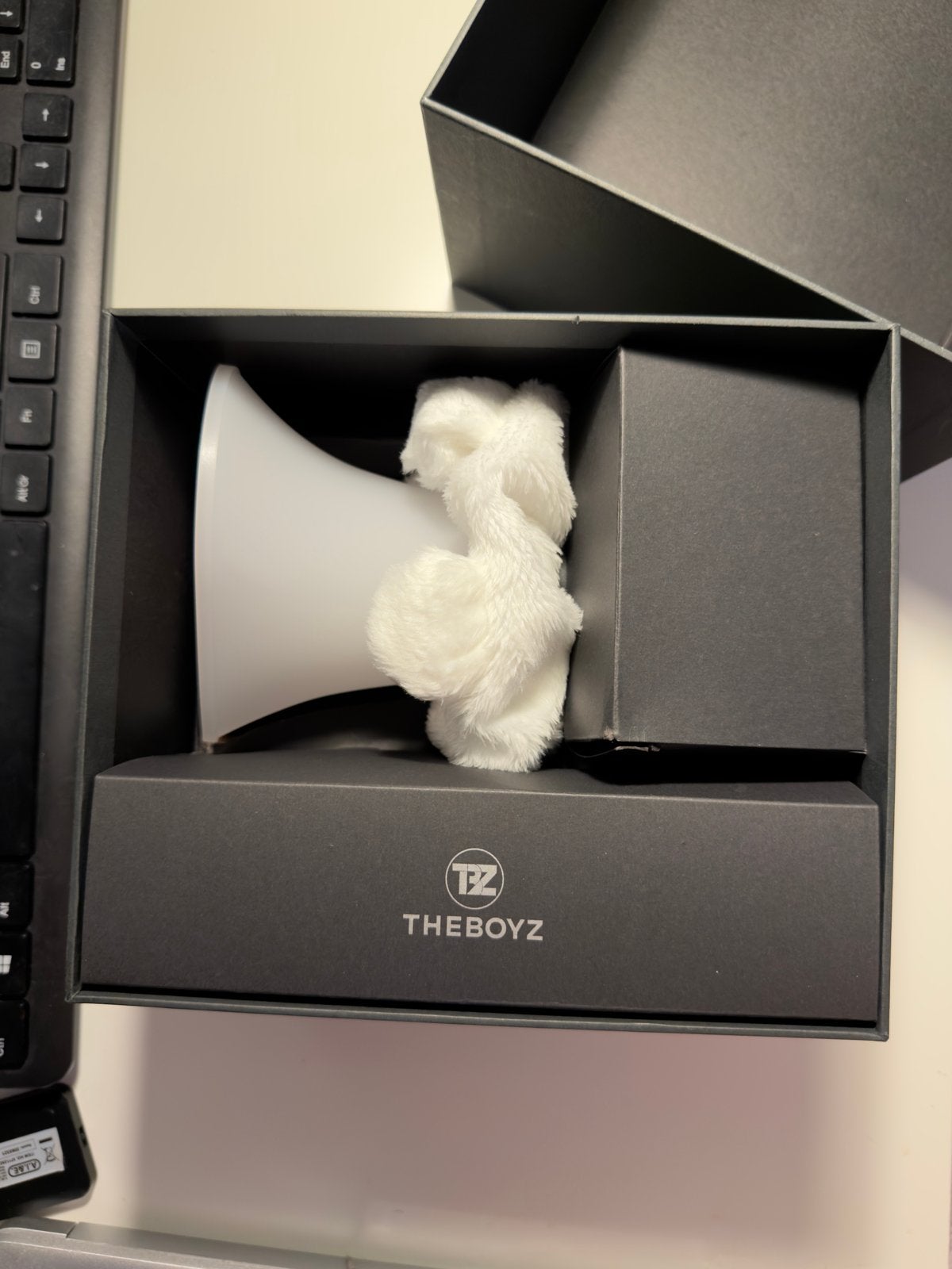 THE BOYZ Lightstick met doos en accessoires, Ophalen of Verzenden, Zo goed als nieuw