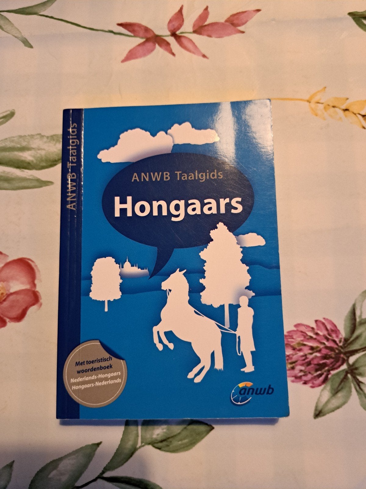 W: ANWB Taalgids Hongaars - Met toeristisch woordenboek, Nederlands, Hongaars, Ophalen of Verzenden, Zo goed als nieuw, ANWB