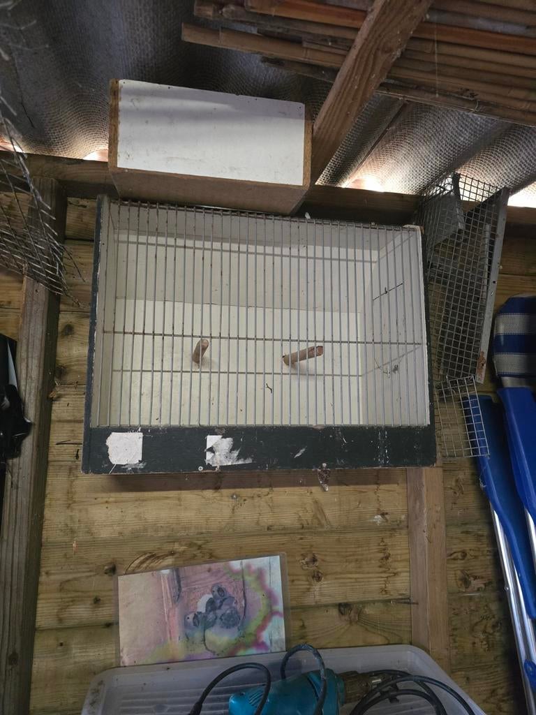 Transportkooien, Dieren en Toebehoren, Ophalen of Verzenden, Hout, Vogelkooi