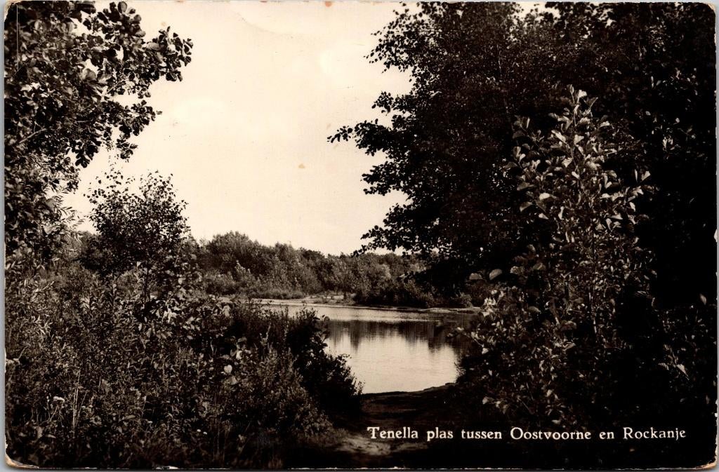 Tussen Oostvoorne en Rockanje - Tenella Plas (1958)