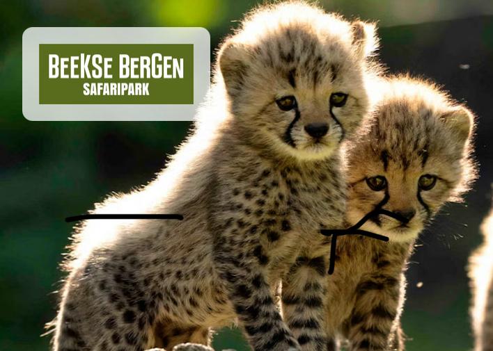 Beekse Bergen kaartjes x2, Drie personen of meer, Ticket of Toegangskaart