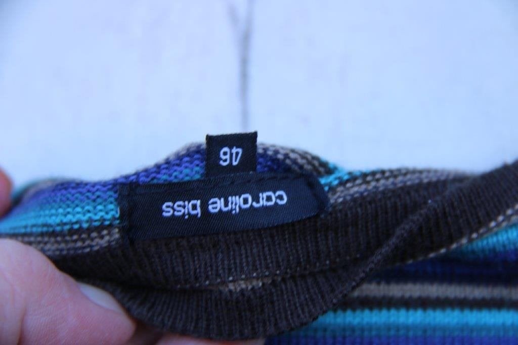 Trui dun blauw/ aqua/ bruin Caroline Biss mt 46 Vaste prijs, Kleding | Dames, Truien en Vesten, Blauw, Maat 46/48 (XL) of groter