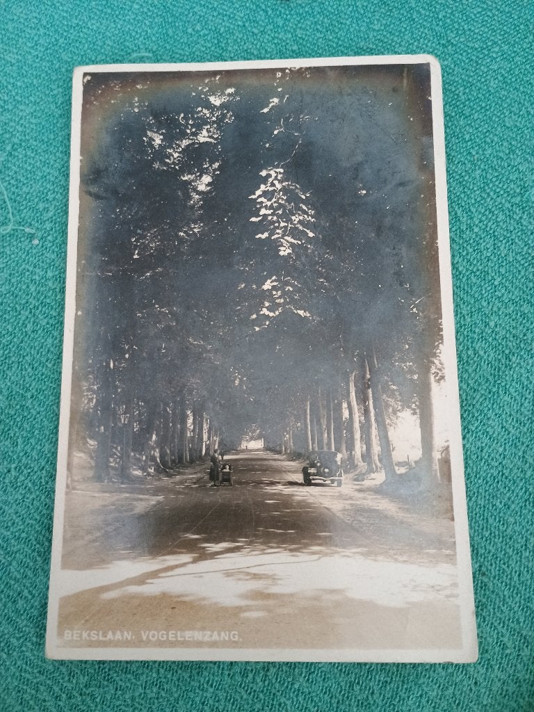 Vogelenzang, Verzenden, Voor 1920, Gelopen, Noord-Holland