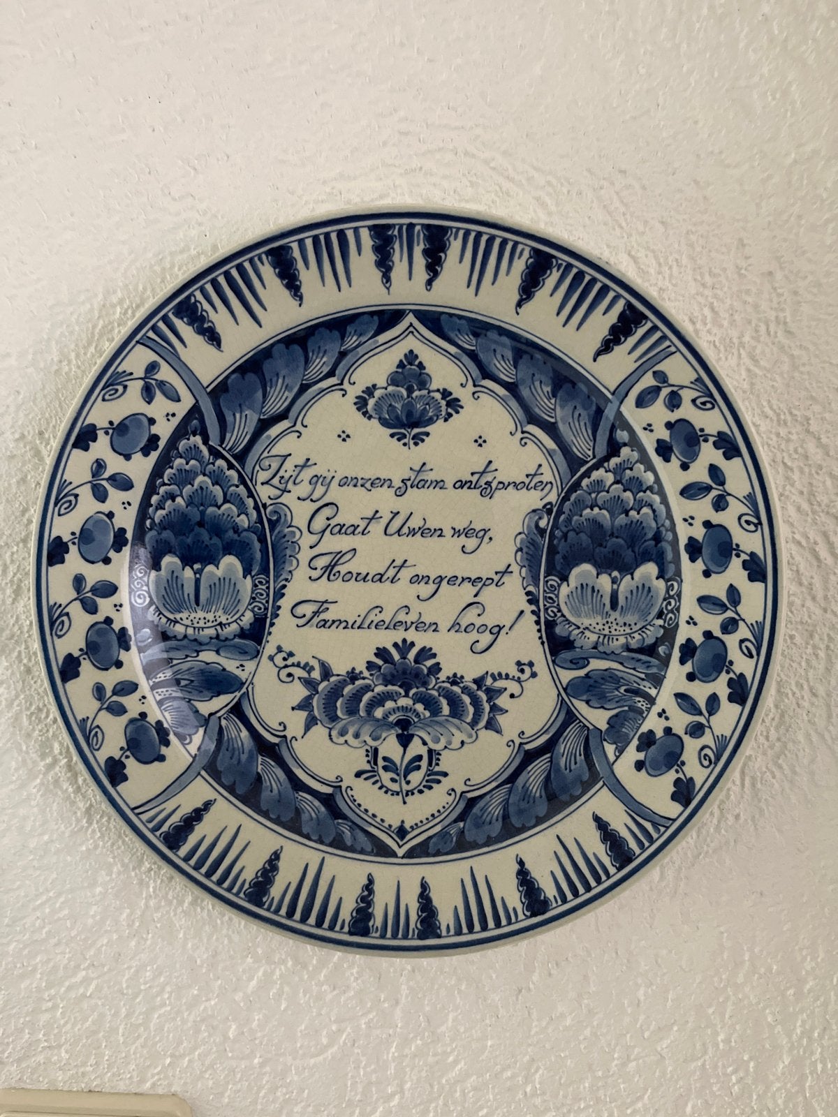 Uniek Delfts Blauw Wandbord porceleyne fles, Ophalen of Verzenden