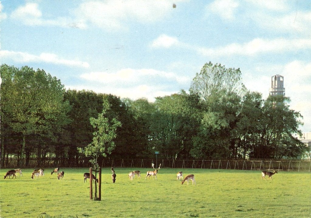 Alphen aan de Rijn          954a, Ophalen of Verzenden, Voor 1920, Zuid-Holland