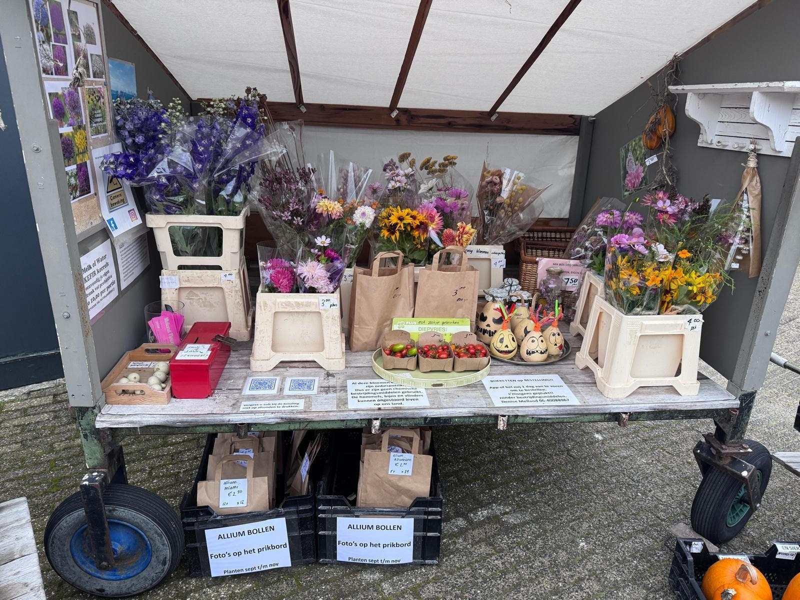 fleurige onbespoten pompoenen(eetbaar) Droogbloemen enz, Ophalen