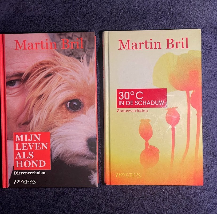2 boeken van Martin Bril., Ophalen of Verzenden, Zo goed als nieuw, Martin Bril