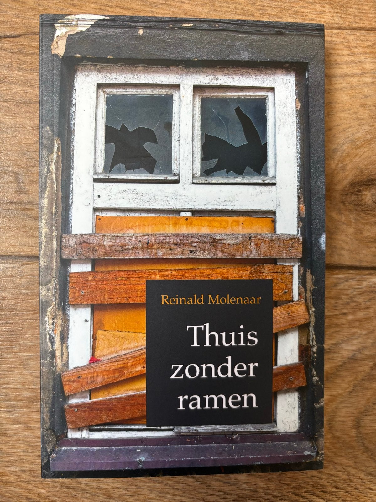 Thuis zonder ramen - Reinald Molenaar (De Banier), Ophalen of Verzenden, Zo goed als nieuw, Nederland