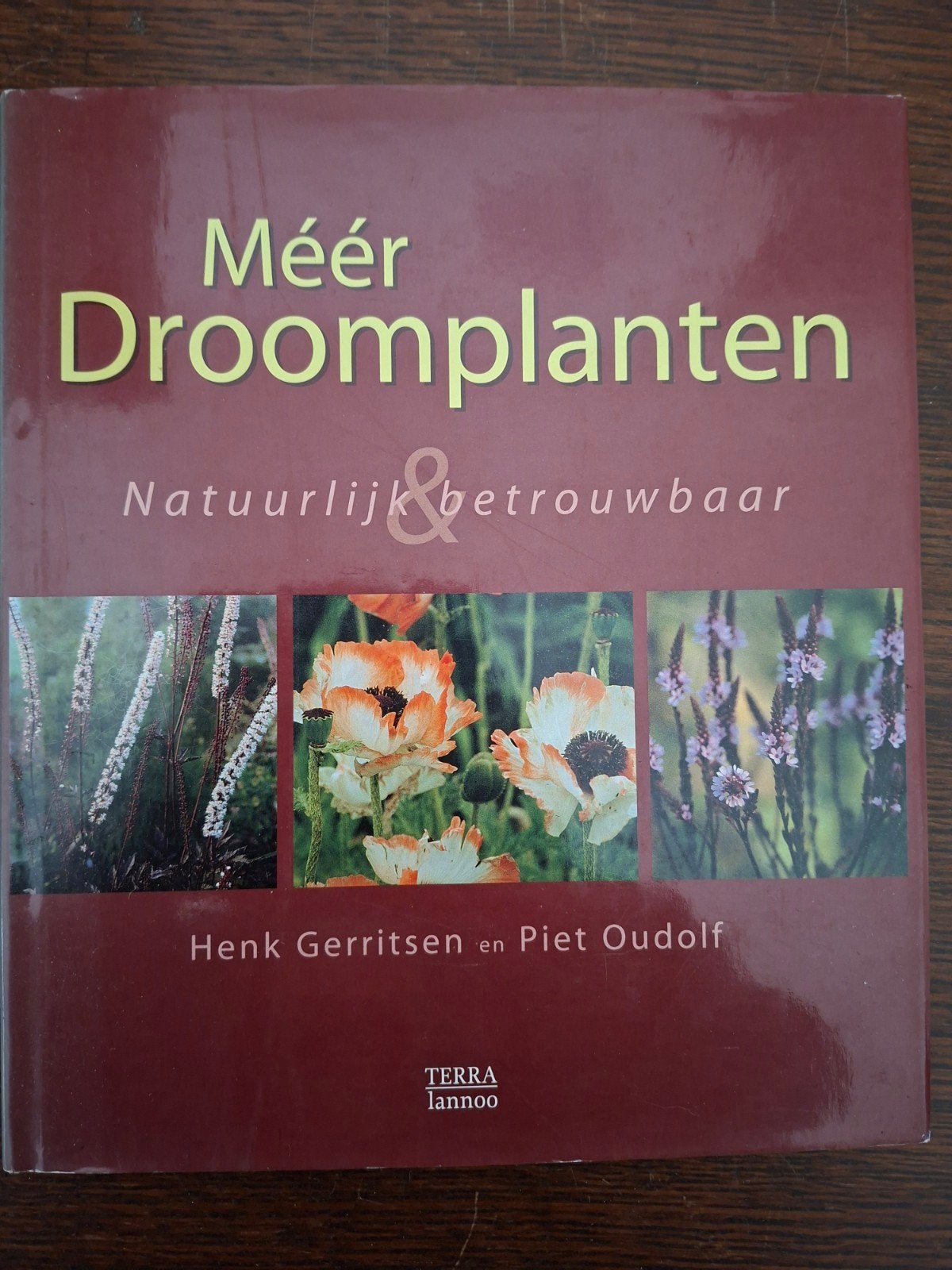 Meer Droomplanten: Natuurlijk & Betrouwbaar - Tuinboek, Ophalen of Verzenden, Zo goed als nieuw, Henk Gerritsen en Piet Oudolf