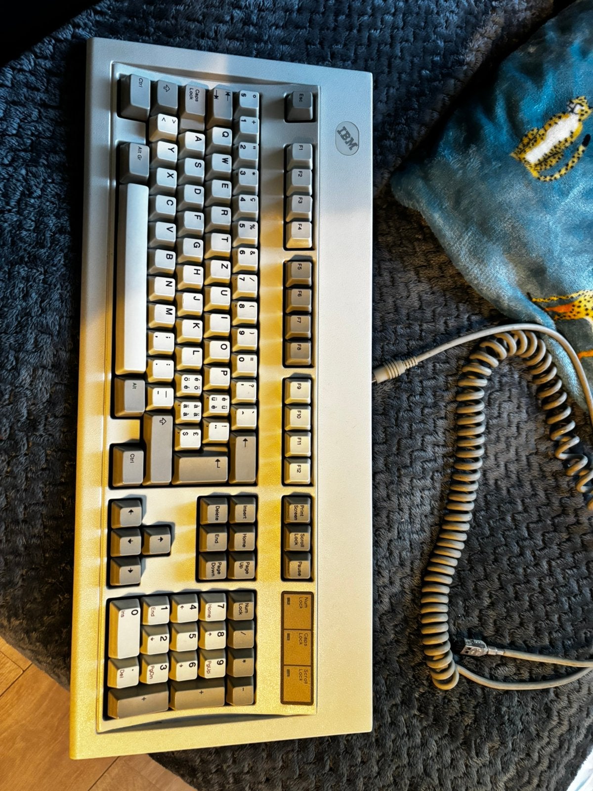 IBM Model M PS2, Ophalen of Verzenden, Gebruikt