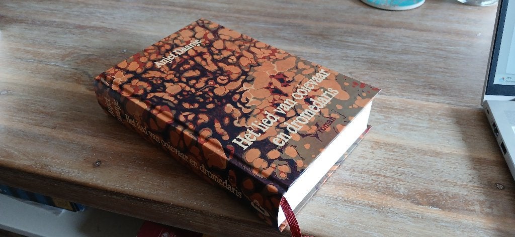 Anjet Daanje: Het lied van ooievaar en dromedaris, Boeken, Ophalen of Verzenden, Zo goed als nieuw, Nederland, Anjet Daanje