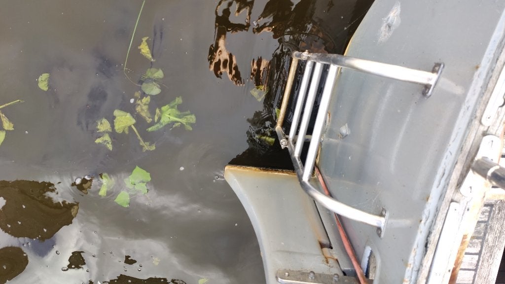 zwemtrap RVS, Watersport en Boten, Ophalen of Verzenden, Zo goed als nieuw
