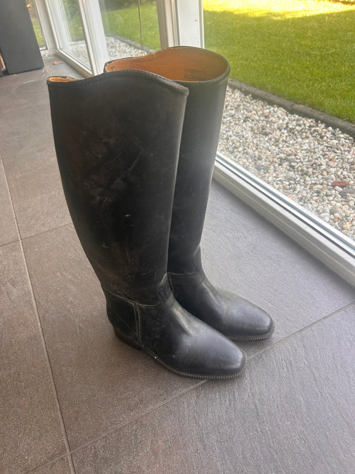 Paardrijlaarzen Aigle, Gebruikt, Dressuur, Aigle, Ophalen of Verzenden